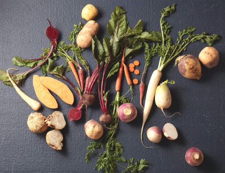 What are root vegetables?