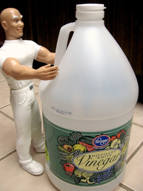 White Vinegar Cleaning Laundry And So Much More,Italian Word For Grandma Pronunciation