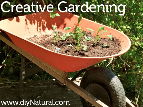 Creative Gardening