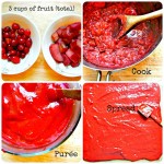 How to Make Fruit Leather 1