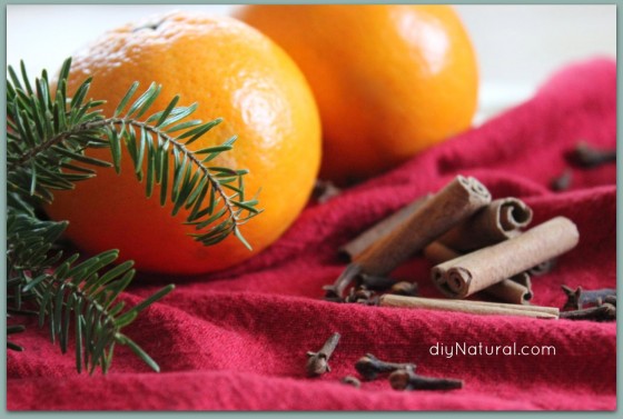 Homemade Air Freshener Holiday Room Spray 2