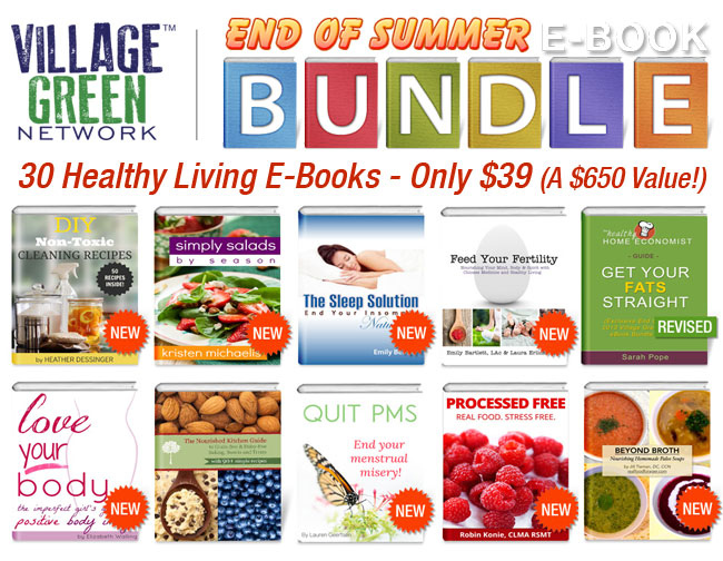 2013 VGN Summer Ebook Bundle