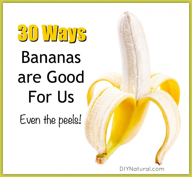 Are Bananas Good For You Benefits