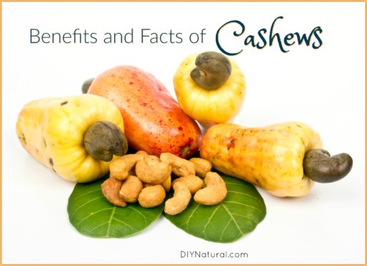 Benefits of Cashews