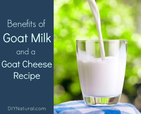 Benefits of Goat Milk