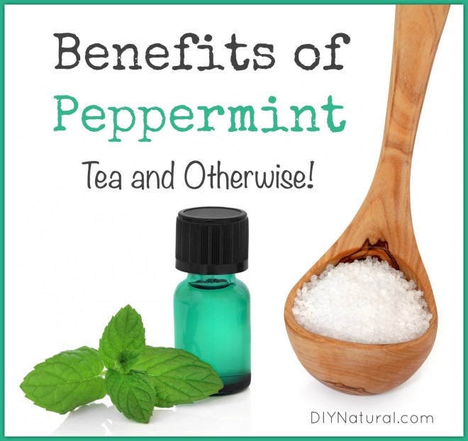 Benefits of Peppermint Tea