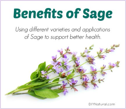 Benefits of Sage