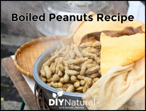 Boiled Peanuts Recipe