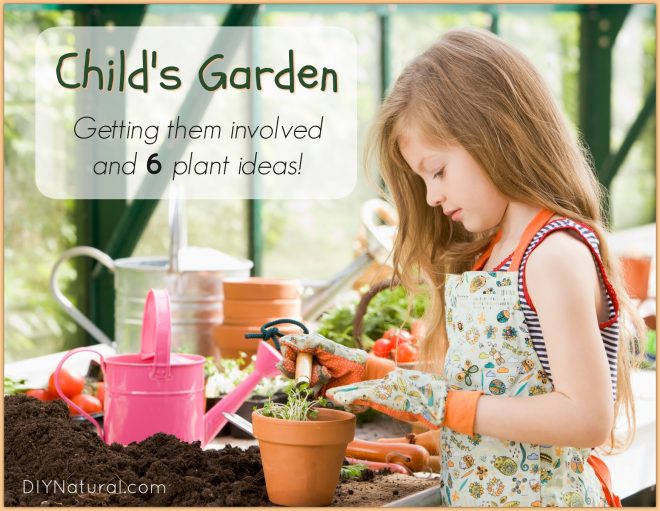 Child Garden