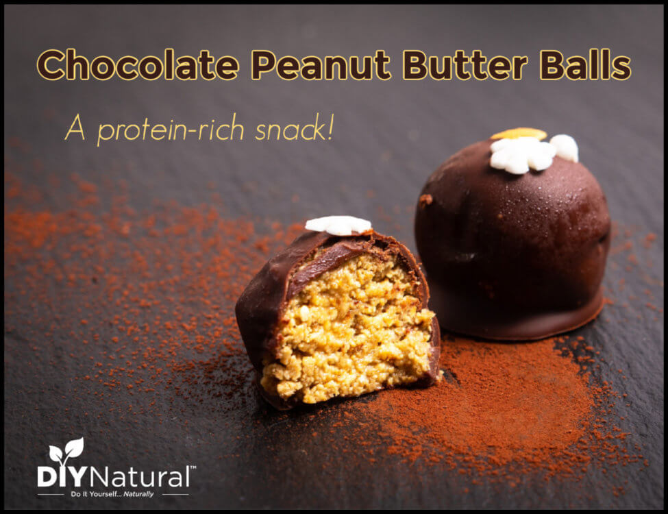 Chocolate Peanut Butter Balls Protein
