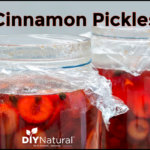 Cinnamon Pickles