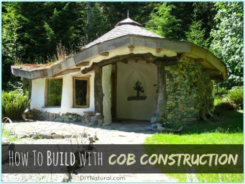 Cob House Construction