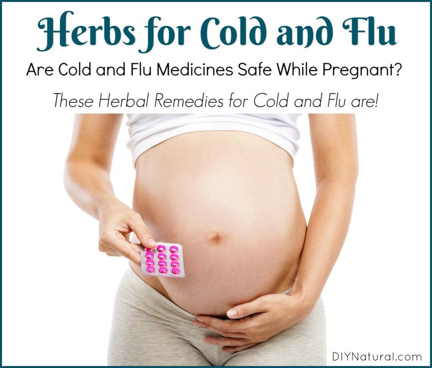 Cold Medicine While Pregnant Flu Herbs