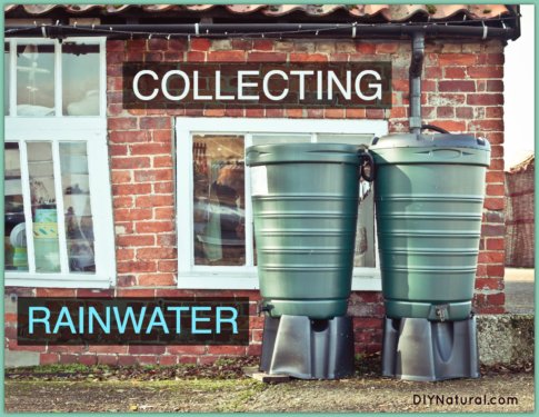 Collecting Rainwater