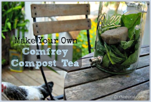 Comfrey Compost Tea Recipe