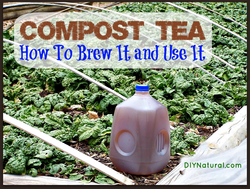 Compost Tea What It Is How To Make