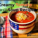 Creamy Tomato Soup Recipe Basil