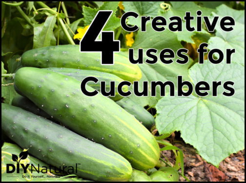 Cucumber Uses