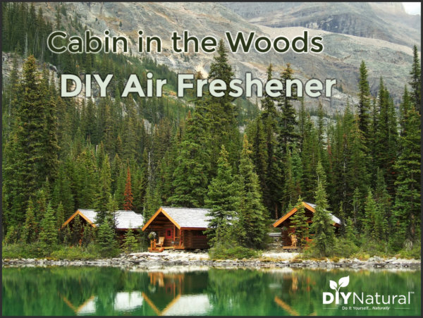 DIY Air Freshener Cabin in Woods