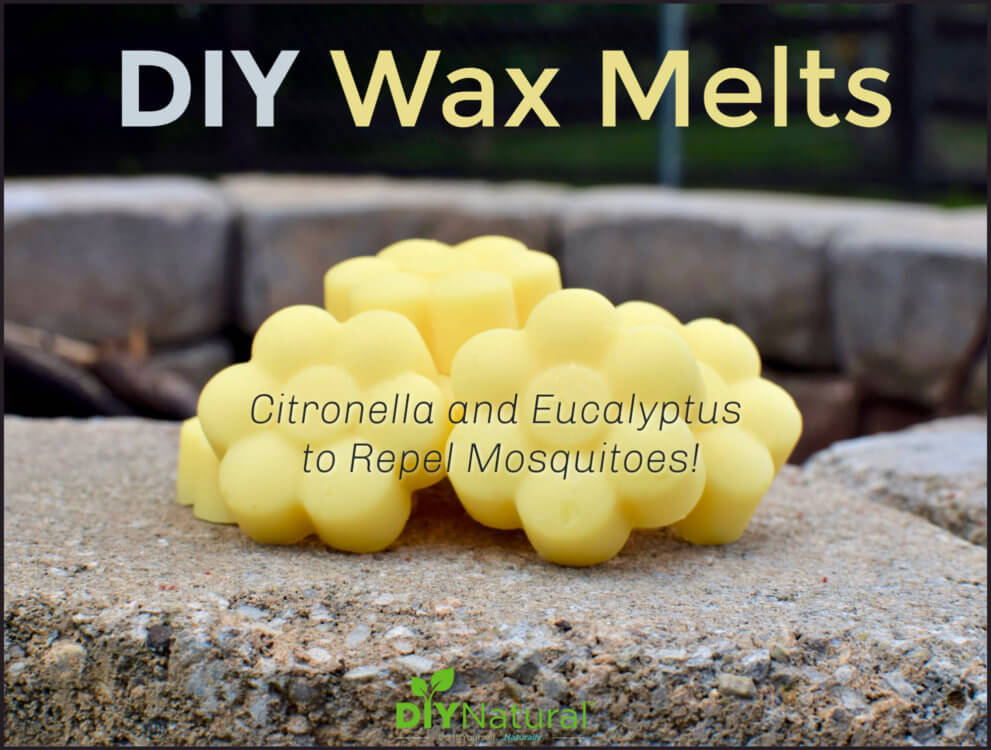 DIY Citronella Eucalyptus Wax Melts