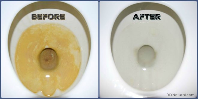 A DIY Hard Water Stain Remover Recipe for Cleaning Toilets