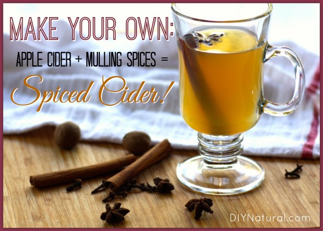 DIY Mulling Spices