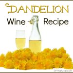 Dandelion Wine Recipe