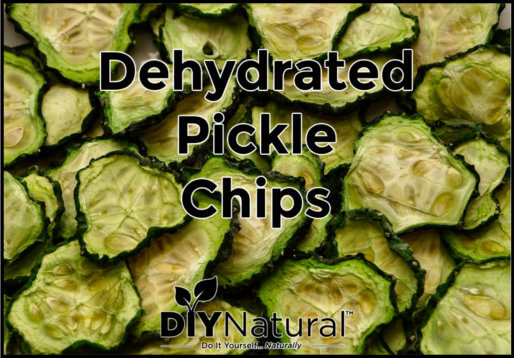 Dehydrated Pickles Chips