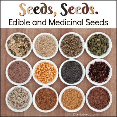 Edible Seeds Medicinal Seeds