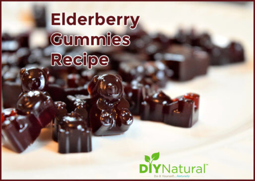 Elderberry Gummies Recipe