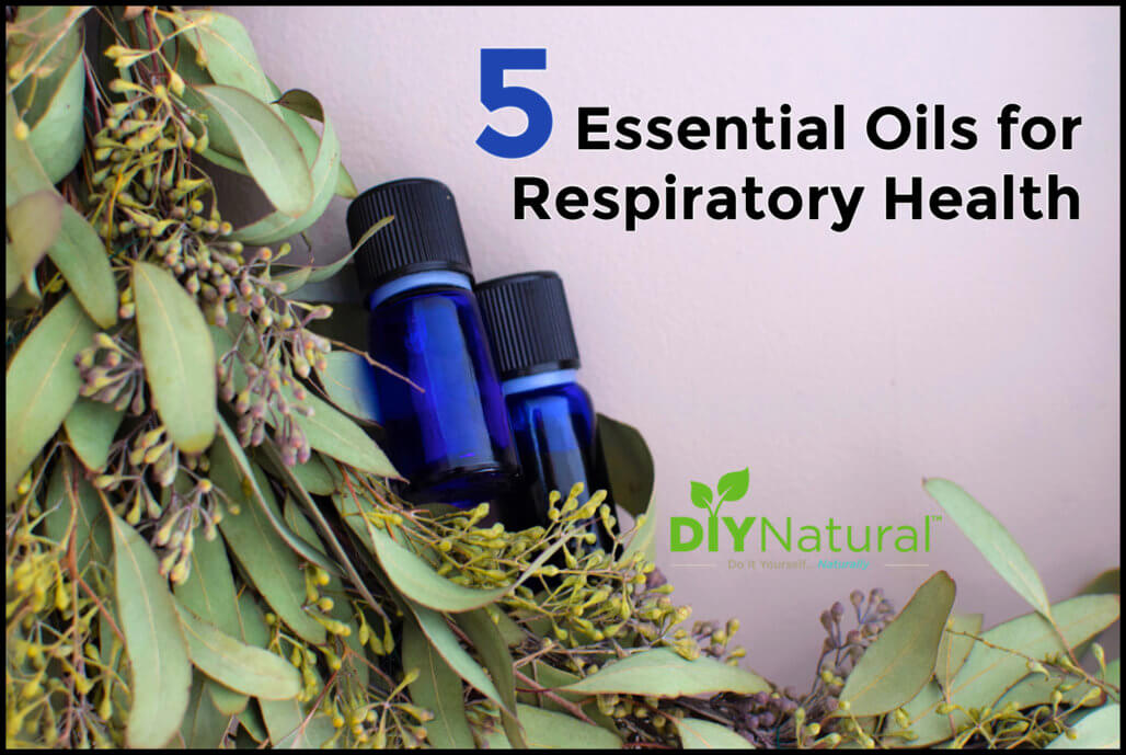 Essential Oils for Respiratory Health