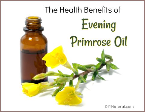 Evening Primrose Oil Benefits