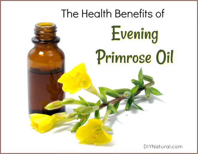 Evening Primrose Oil Benefits