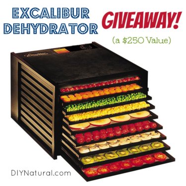 Excalibur Dehydrator Giveaway