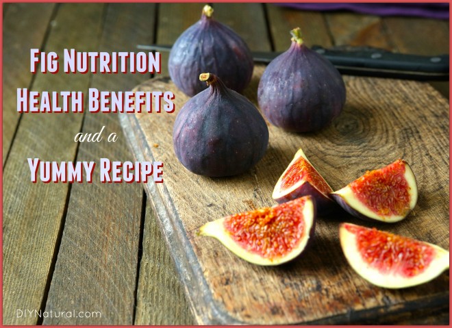 Fig Recipes Health Benefits Nutrition