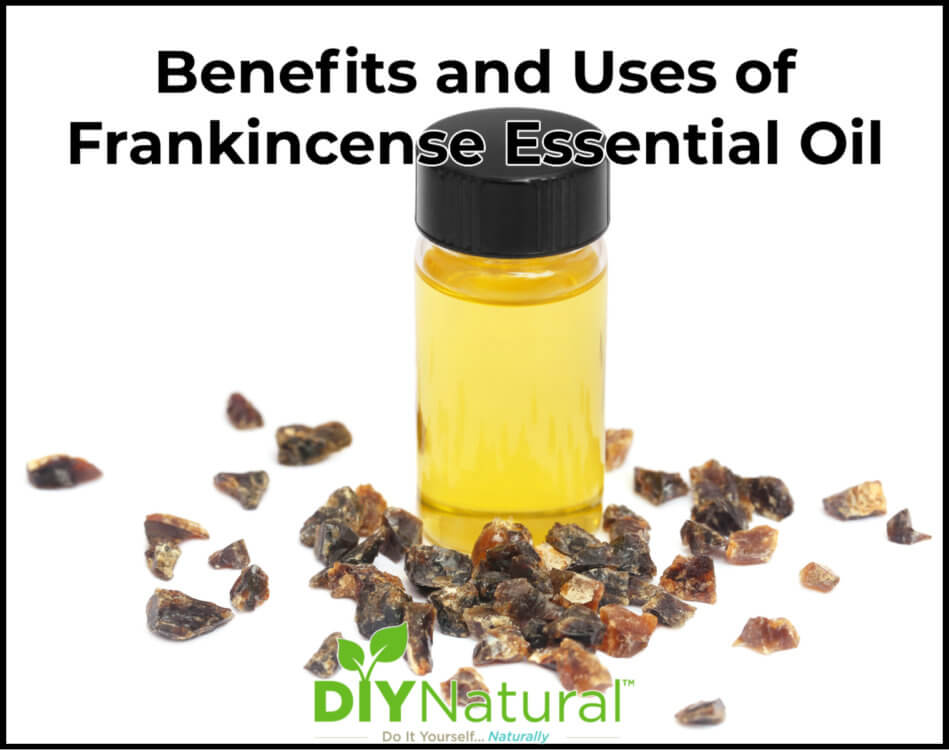 Frankincense Essential Oil Benefits Uses