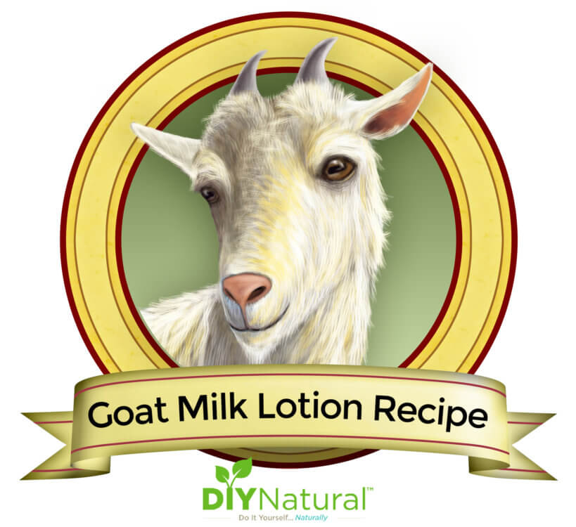 Goat Milk Lotion Recipe