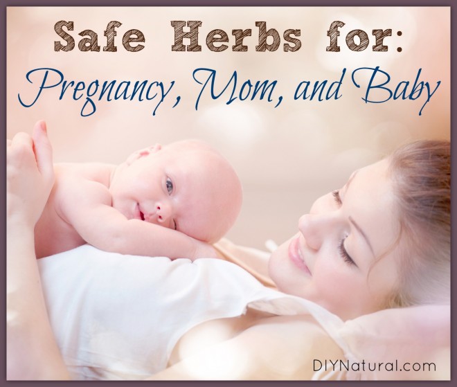 Herbs For Pregnancy