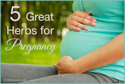 Herbs for Pregnancy