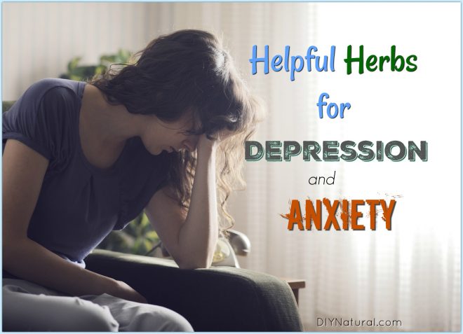 Herbs for Depression Anxiety