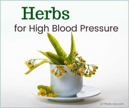 Herbs for High Blood Pressure