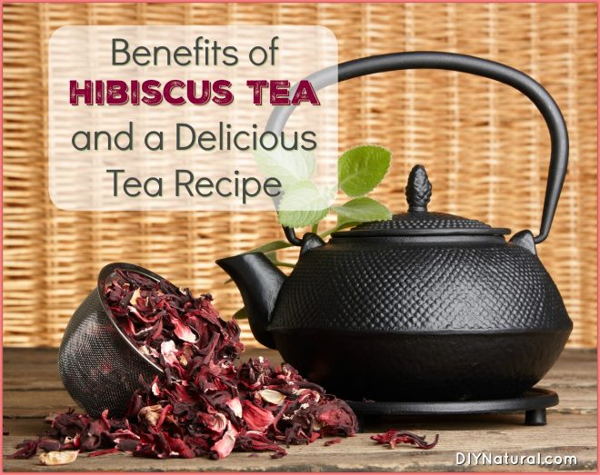 Hibiscus Tea Benefits Recipe