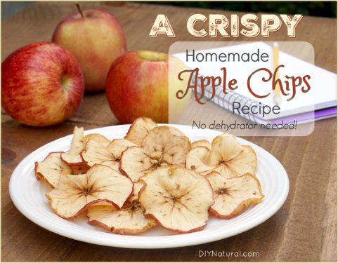 Homemade Apple Chips Recipe