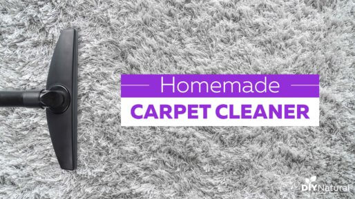 Homemade Carpet Cleaner