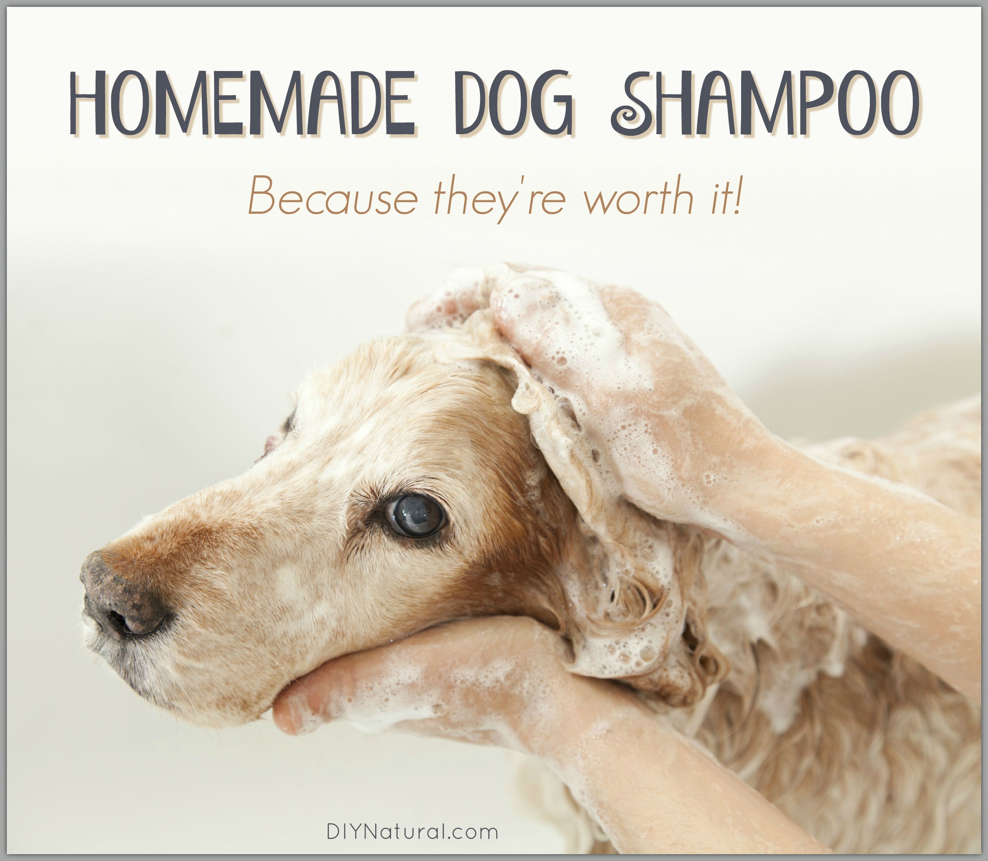 Homemade Dog Shampoo Bar: A Simple and Natural Recipe