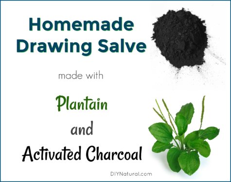 Homemade Drawing Salve Plantain Activated Charcoal