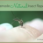 Homemade Mosquito Repellent