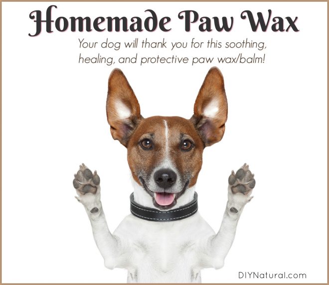 Homemade Paw Wax Balm Dog
