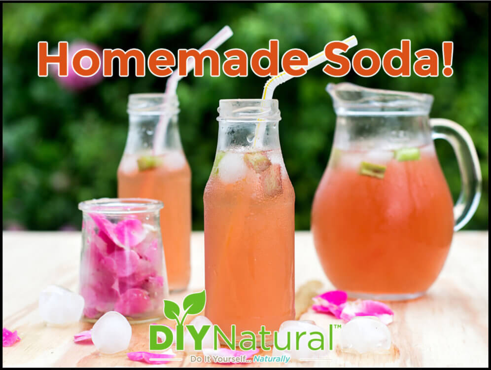 Homemade Soda Syrup Recipe