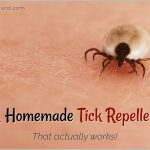 Homemade Tick Repellent Spray DIY
